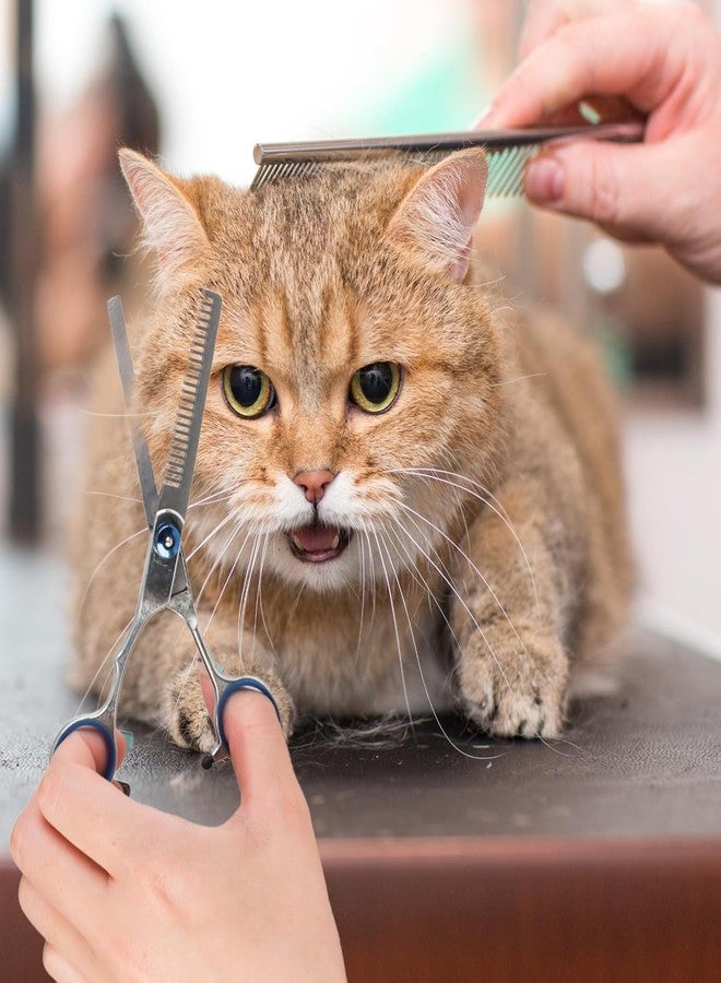 سكويشي مقص تزيين الكلاب، مقص قص شعر الكلاب، مقص أسنان بغطاء وحلقة زرقاء، قطعة واحدة للكلاب والقطط، مثالي لتزيين الحيوانات الأليفة في المنزل أو الصالون - Image 5